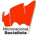 microsoc-logo